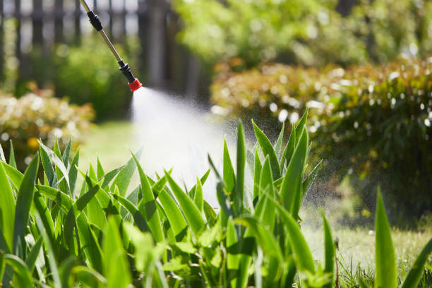 Tamper-Resistant Bait Stations for Rodents in Black Point-Green Point