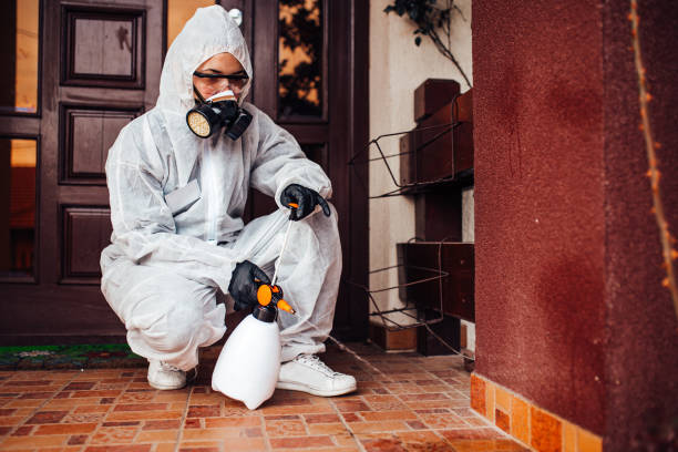 Attic and Crawl Space Rodent Treatment in Black Point-Green Point