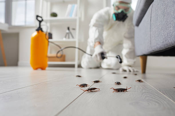 Commercial Rodent Management in Black Point-Green Point